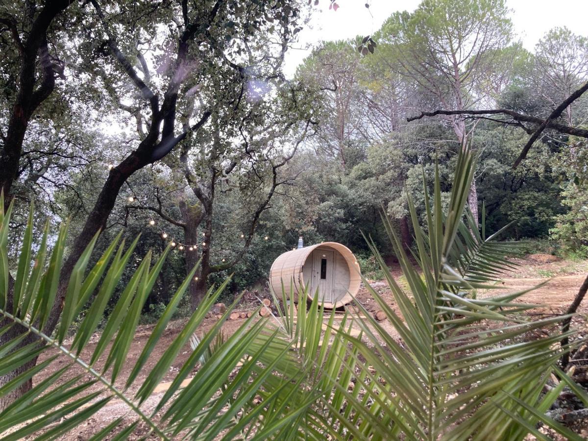 Les Horizons - Spa-Jacuzzi - Massage- Sauna - 4 Saisons - Piscine Chauffee Toute L'Annee - 800M Centre Ville 尼翁 外观 照片