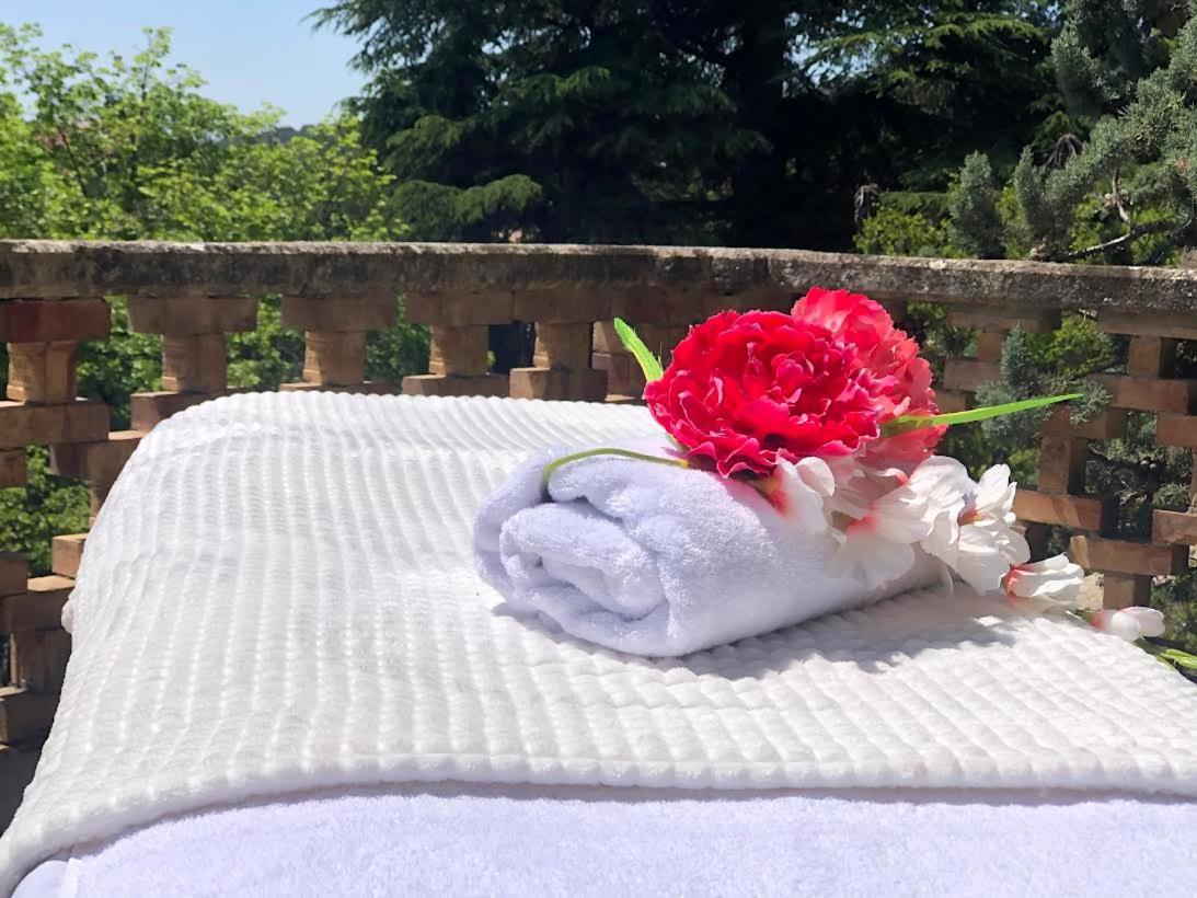 Les Horizons - Spa-Jacuzzi - Massage- Sauna - 4 Saisons - Piscine Chauffee Toute L'Annee - 800M Centre Ville 尼翁 外观 照片